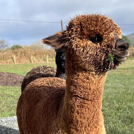 بيت للعطل Wild Wild West *