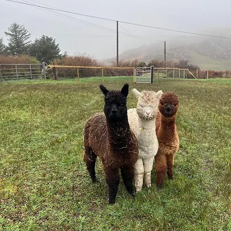 Wild Wild West بيت للعطل كاستيلتاونبير