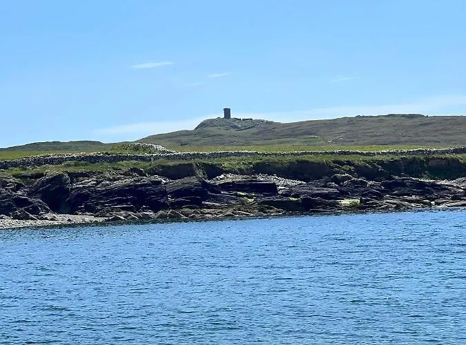 Wild Wild West 펜션 *