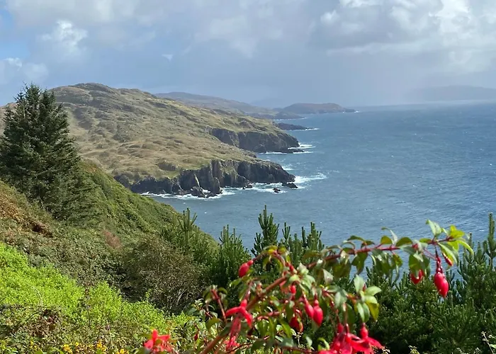 Wild Wild West 캐슬타운베어