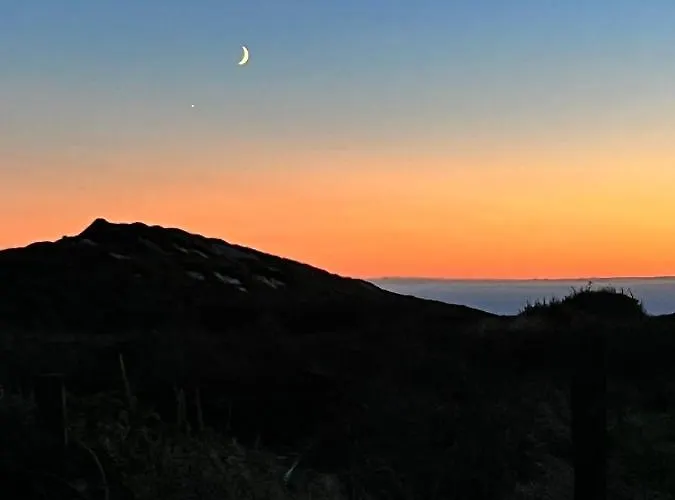 펜션 Wild Wild West