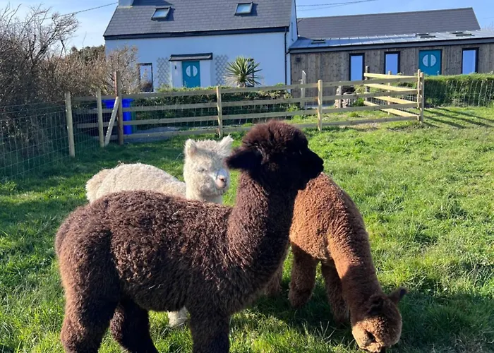 Wild Wild West 펜션 *